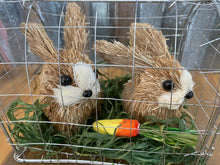 Load image into Gallery viewer, Caged Bunnies
