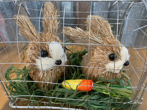 Caged Bunnies